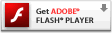获取 Adobe Flash Player